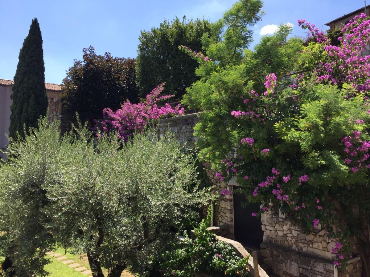 Le Finestre Sugli Ulivi Apartamento Desenzano del Garda Exterior foto